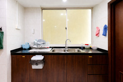 Hazel Park Condominium (D23), Condominium #565639761